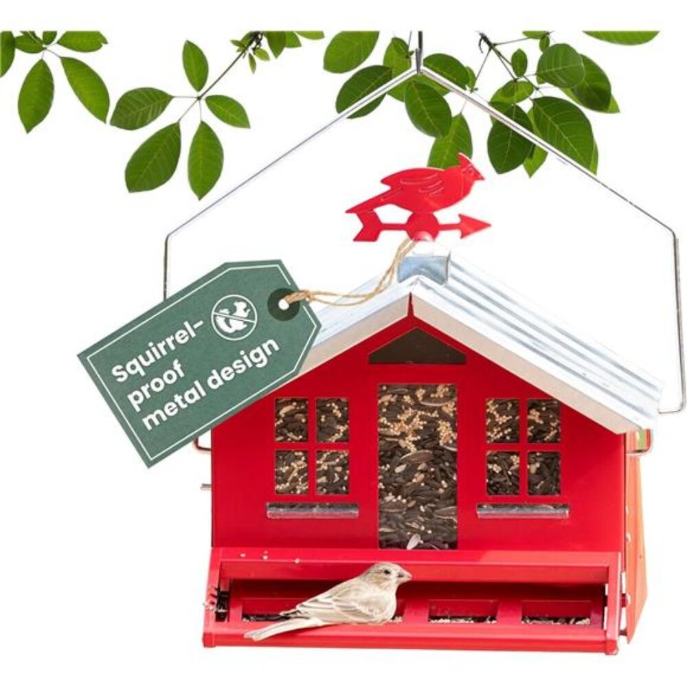 New Squirrel-Be-Gone II Country House Bird Feeder with Weathervane - 8 lb